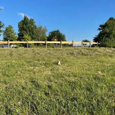 Naturnahes, Neu Eingerichtetes Mit 1 Schlafzimmer Apartment Neu Gaarz