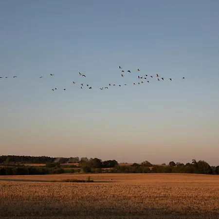 Lägenhet Naturnahes, Neu Eingerichtetes Mit 1 Schlafzimmer Neu Gaarz