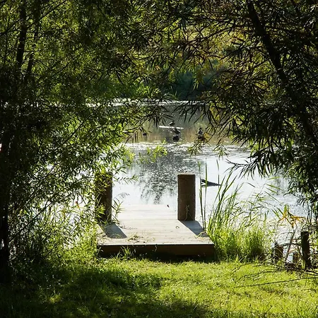 Apartament Naturnahes, Neu Eingerichtetes Mit 1 Schlafzimmer *