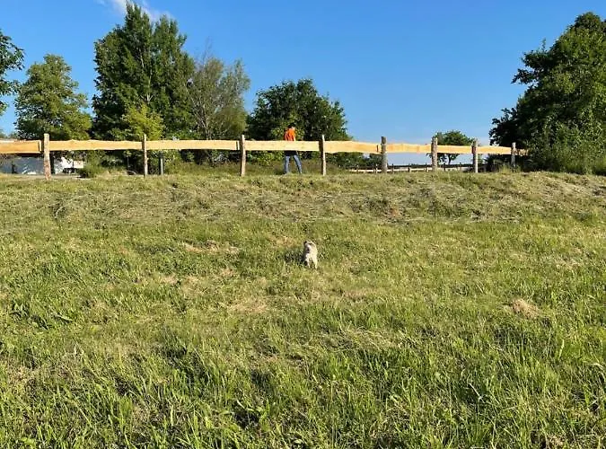 Naturnahes, Neu Eingerichtetes Mit 1 Schlafzimmer Lägenhet Neu Gaarz