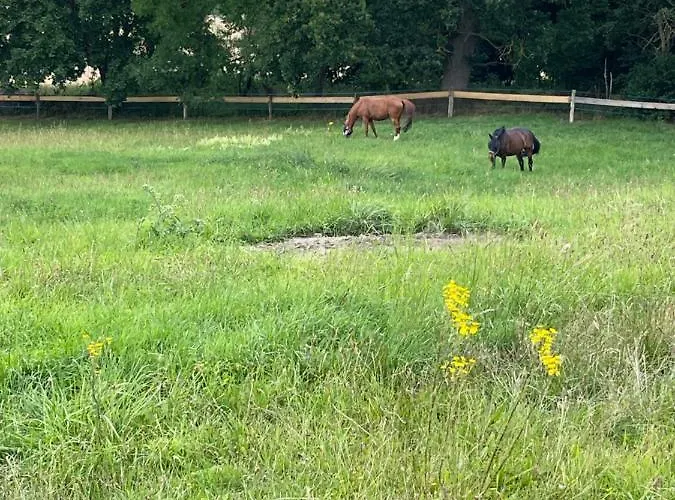 Naturnahes, Neu Eingerichtetes Mit 1 Schlafzimmer