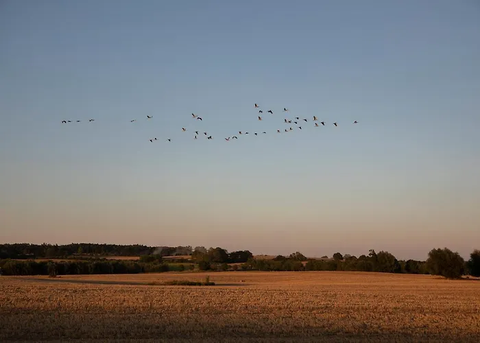 Apartmán Naturnahes, Neu Eingerichtetes Mit 1 Schlafzimmer Neu Gaarz
